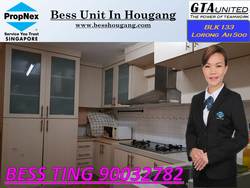 Blk 133 Lorong Ah Soo (Hougang), HDB Executive #165998912